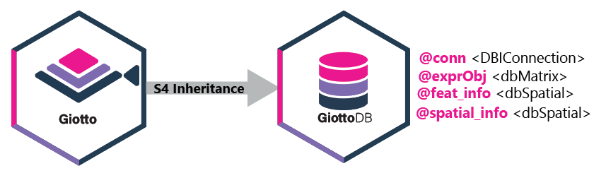 GiottoDB extends Giotto objects with database-backed slots and a persistent database connection.