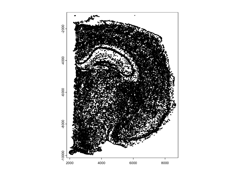 Mouse brain cell polygons with artifacts removed and flipped